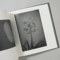 [サイン入/Signed] 島影 / 白石ちえこ(Chieko Shiraishi)