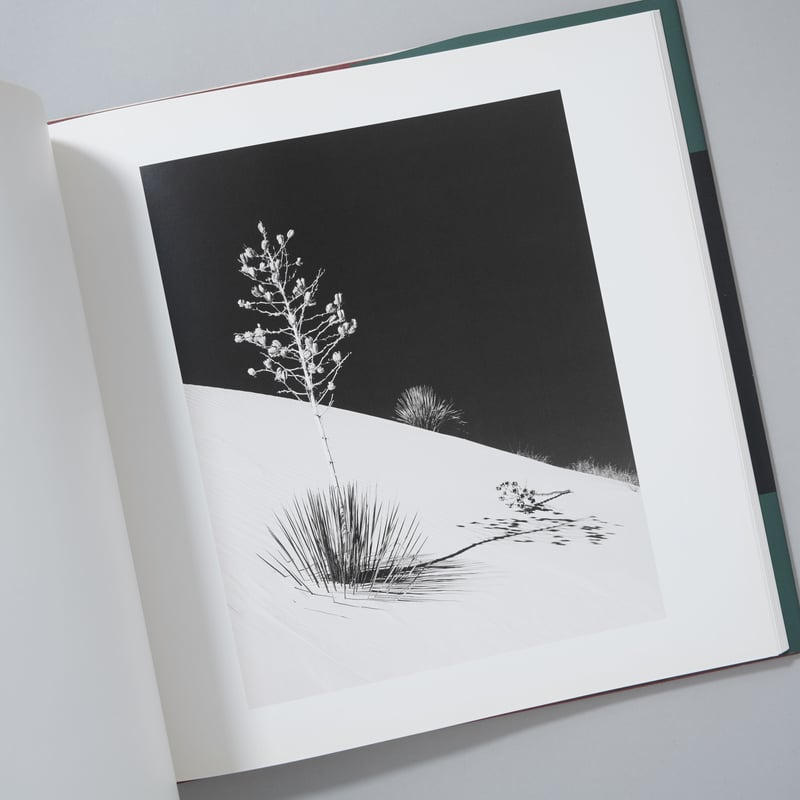 サイン入/Signed]EXISTENCE and TIME 存在と時間 / 春日広隆(Hi