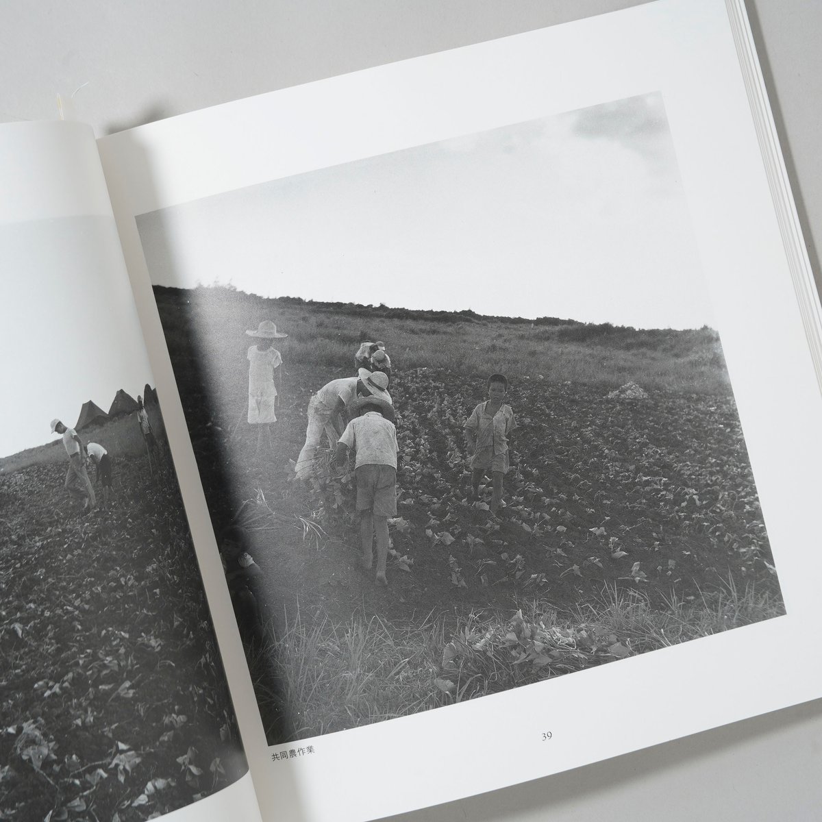 人間の住んでいる島 沖縄・伊江島 土地戦争の記録 / 阿波根 晶鴻(Shoko