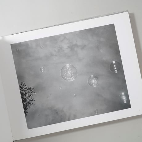 The Black Rose / Trent Parke(トレント・パーク)