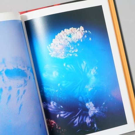 [サイン入/Signed] LIQUID/FLOWERS / 田川優太郎(Yutaro Tagawa)