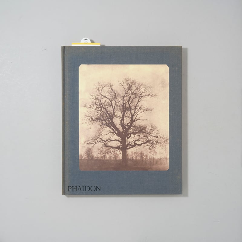 Showing: Tim Barber – “Relations” @ Yuka Tsuruno Gallery