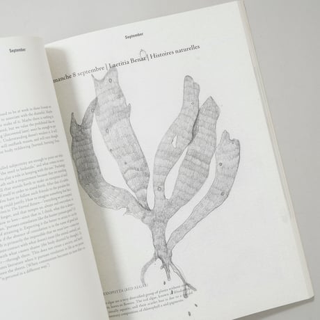 Les Chroniques Purple / Elein Fleiss, ホンマタカシ, Ola Rindal, Anders Petersenほか
