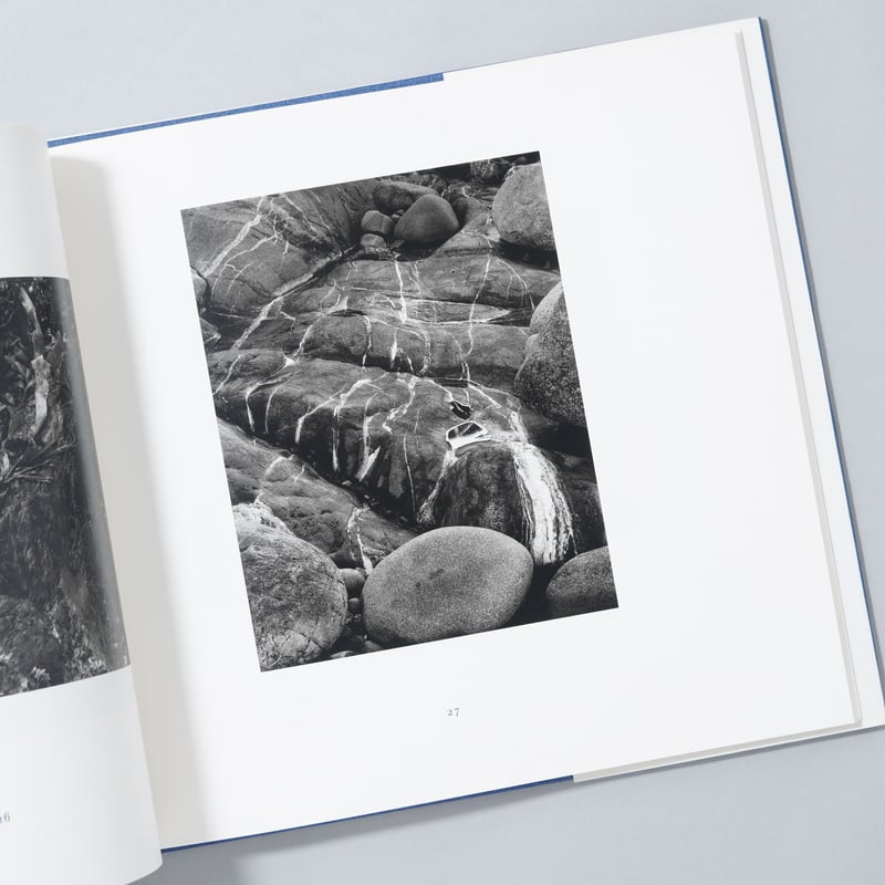 NEW ENGLAND DAYS / Paul Caponigro(ポール・カポニグロ) |