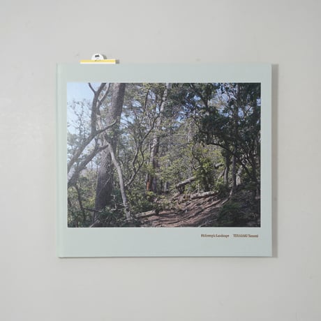 Heliotropic Landscape / 寺崎珠真(Tamami Terasaki)