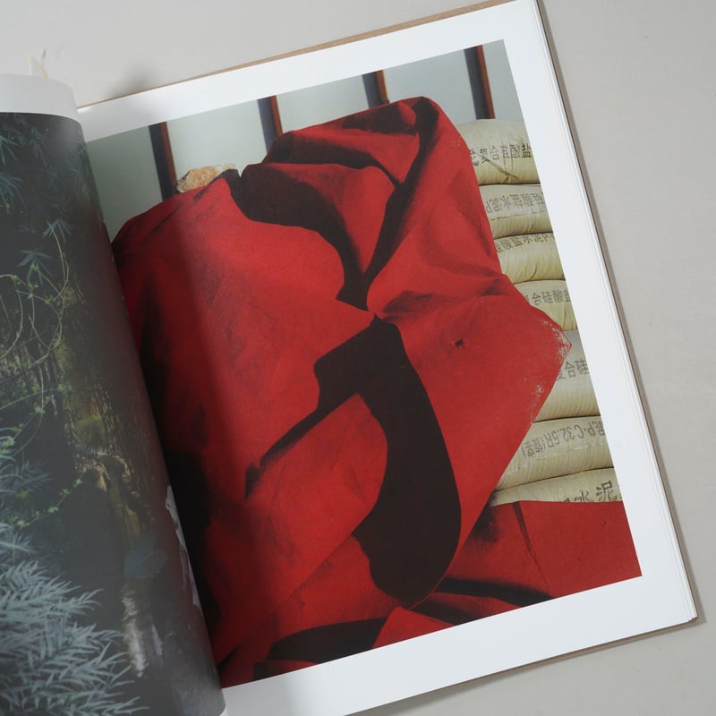 希少 シルクドソレイユ 写真集 洋書 写真 | nostos books ノストスブックス
