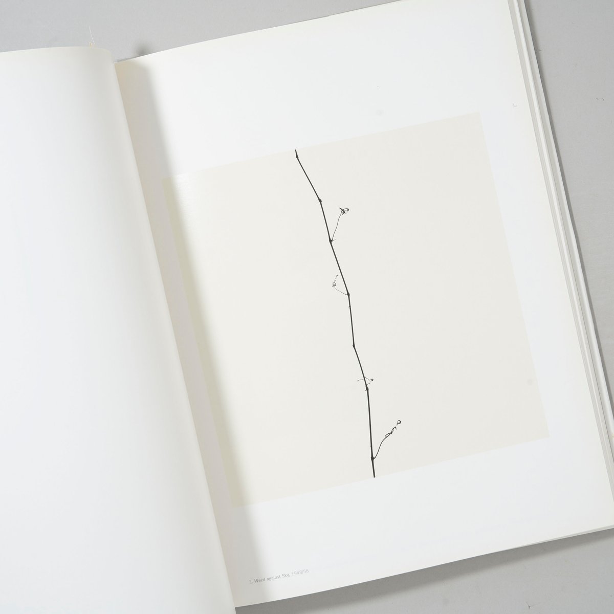 Harry Callahan: The Photographer at Work / Harr