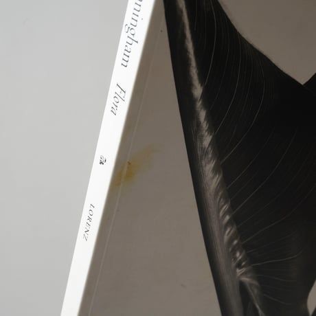 Imogen Cunningham Flora / Imogen Cunningham(イモージン・カニンガム)