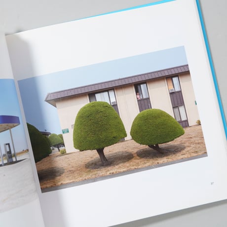 Observations in the Ordinary /Mitch Fresta, Martin Buday 他