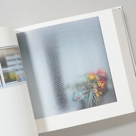 [サイン入/Signed] 特別限定版 windows / 奥山由之(Yoshiyuki Okuyama)