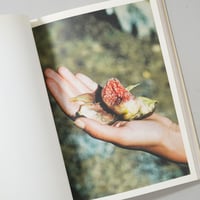 鷹野隆大 1993-1996 / 鷹野隆大(Ryudai Takano) | bookobsc