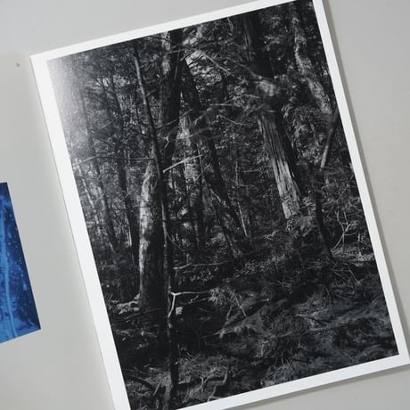 描きかけの地誌 / 蒐集 Unfinished Topography / Collection / 川島崇志(Takashi Kawashima)
