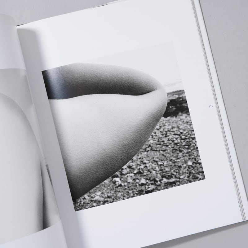 MÉTROPOLISSON JANOL APIN 写真集 CATEGORY ー fashion photo | bookobscura｜写真集専門書店｜
