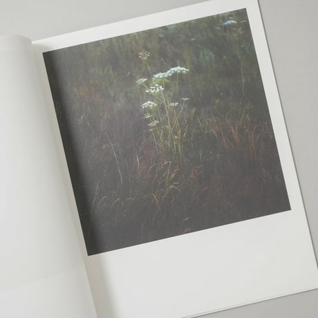 [サイン入/Signed] WIESE XXI-XLVIII / Anne Schwalbe(アンネ・シュヴァルべ)