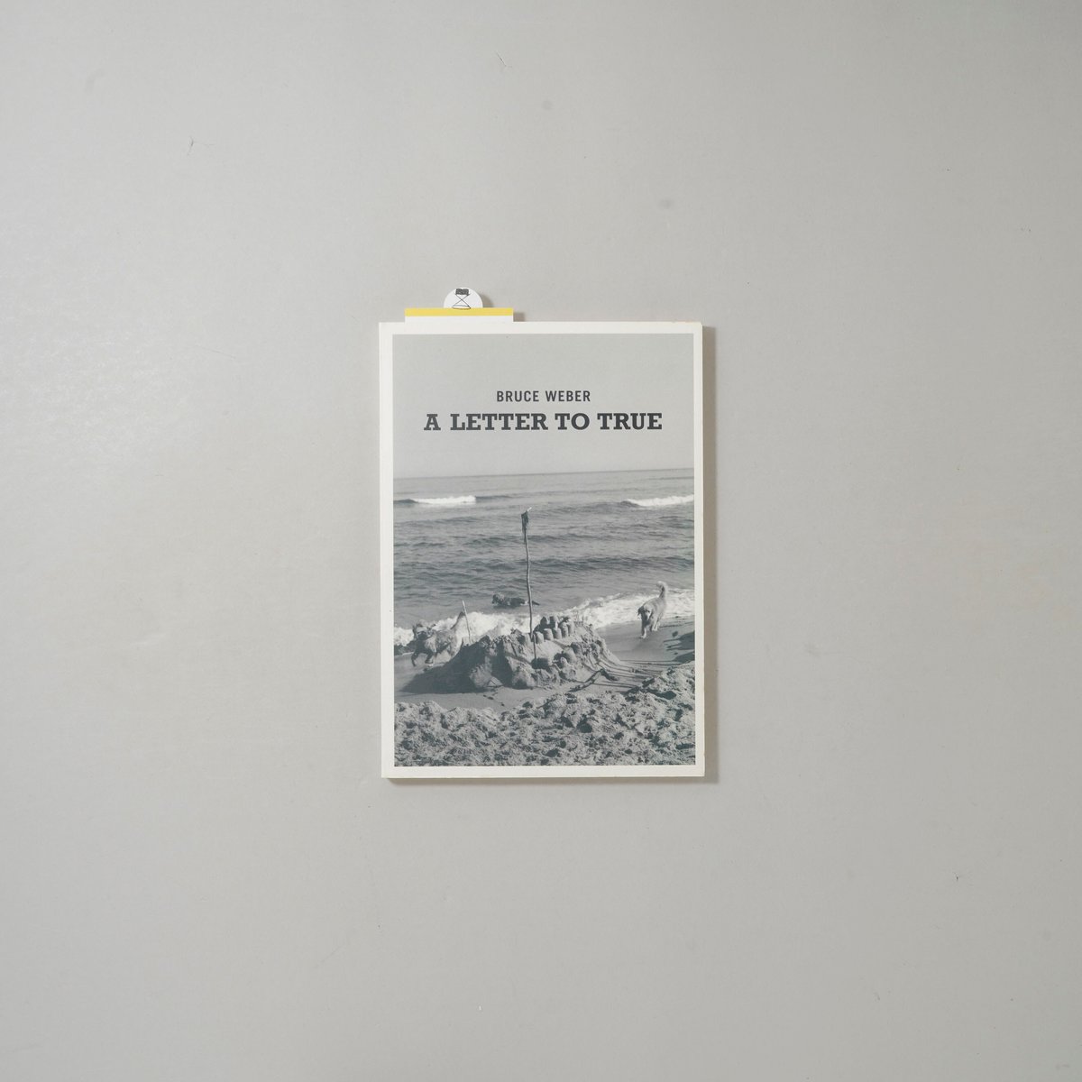A LETTER TO TRUE / Bruce Weber(ブルース・ウェーバー) | bo