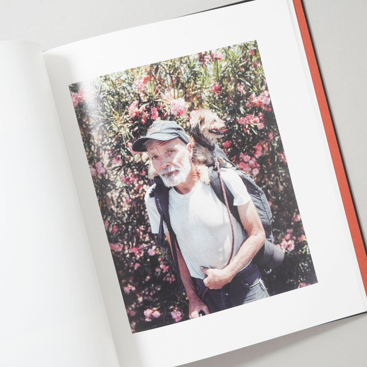 2.写真集『STRANGER』（柏田 テツヲ） STRANGER / 柏田テツヲ(Tetsuo Kashiwada) | bookobscur