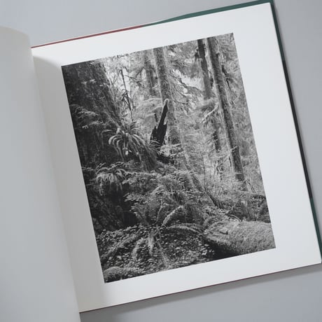 [サイン入/Signed]EXISTENCE and TIME 存在と時間 / 春日広隆(Hirotaka Kasuga)