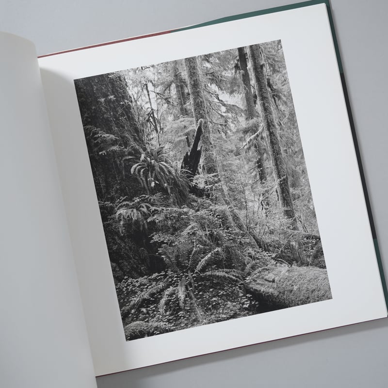 サイン入/Signed]EXISTENCE and TIME 存在と時間 / 春日広隆(Hi