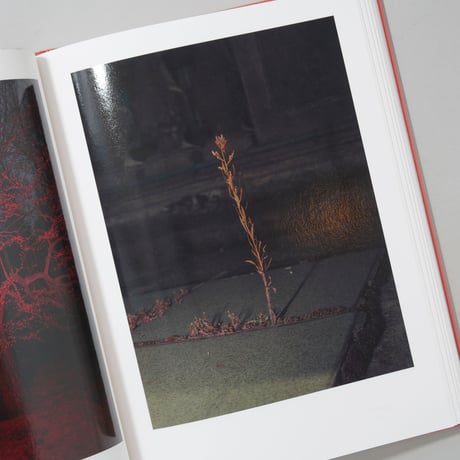 [新刊サイン入/New,Signed] All Empires Will Fall / Lukasz Rusznica(ウカシュ・ルシュニツァ)