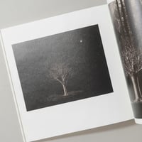 [サイン入/Signed] 手中一滴 Bonsai Microcosmos Macrocosmos / 山本昌男(Masao Yamamoto)