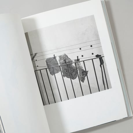 Contravisiones / Joan Fontcuberta(ジョアン・フォンクベルタ)