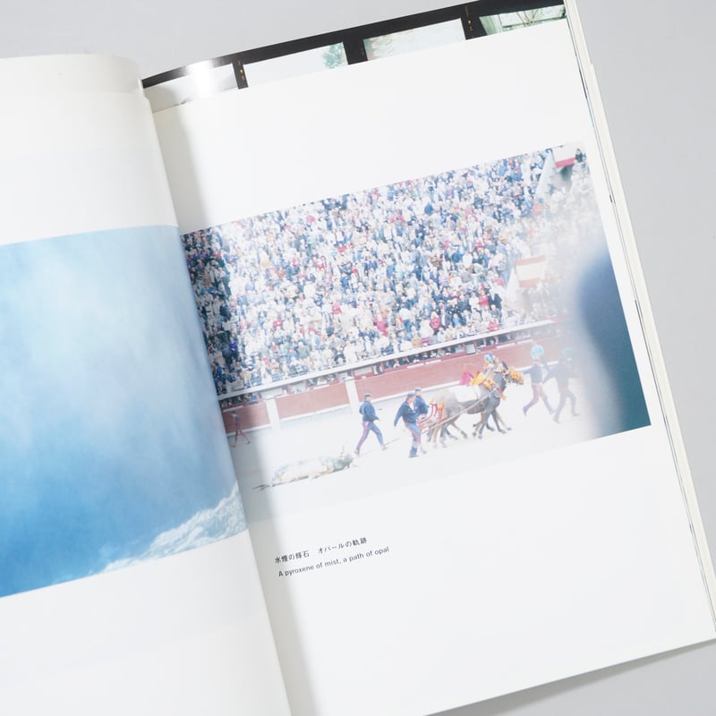 照度 あめつち 影を見る / 川内倫子(Rinko Kawauchi) | book obsc...