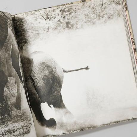 The End of the Game (TASCHEN,2008) / Peter Beard(ピーター・ビアード)