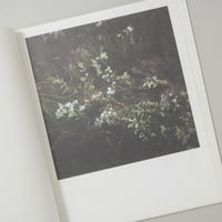 [サイン入/Signed] WIESE XXI-XLVIII / Anne Schwalbe(アンネ・シュヴァルべ)
