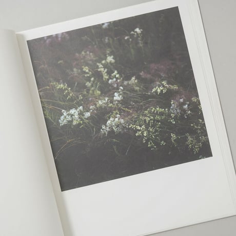 [サイン入/Signed] WIESE XXI-XLVIII / Anne Schwalbe(アンネ・シュヴァルべ)