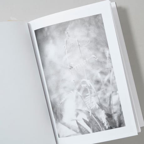 [新刊/New] LOCAL ECOLOGY. MOULIN DES RIBES / Jochen Lempert (ヨヘン・レンペルト)