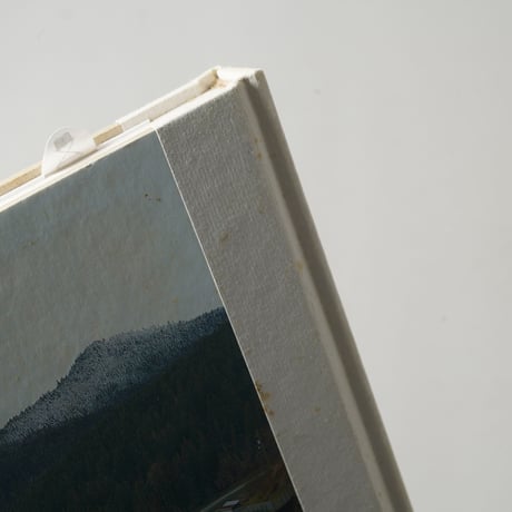 Sawdust Mountain / Eirik Johnson(エリック・ジョンソン)