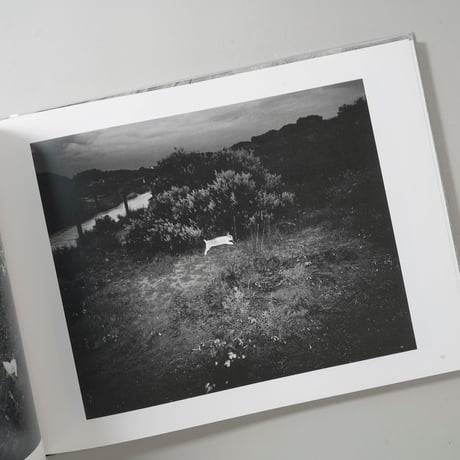 The Black Rose / Trent Parke(トレント・パーク)