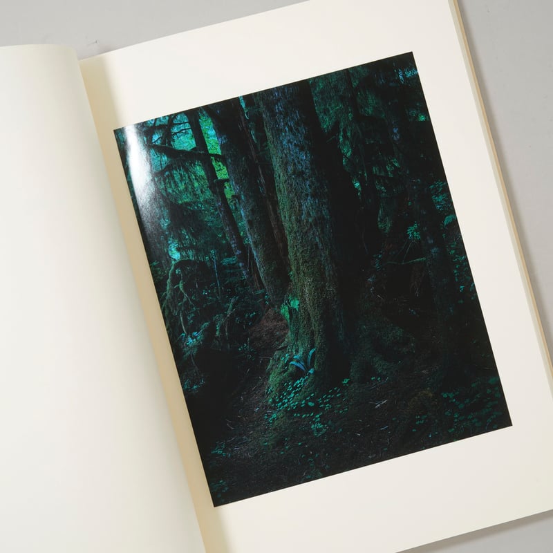 Into the silent land / 上田義彦（Yoshihiko Ueda） | b