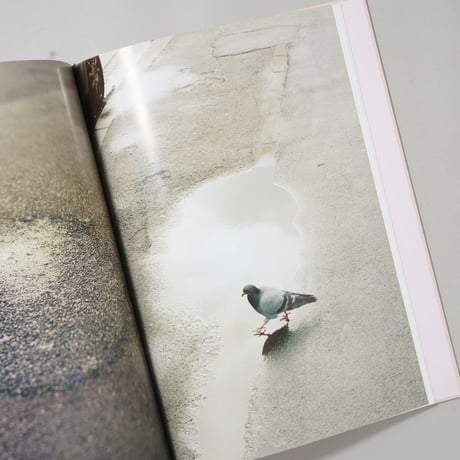 THE CLOUD, THE BIRD AND THE PUDDLE / Ola Rindal（オラ・リンダル）