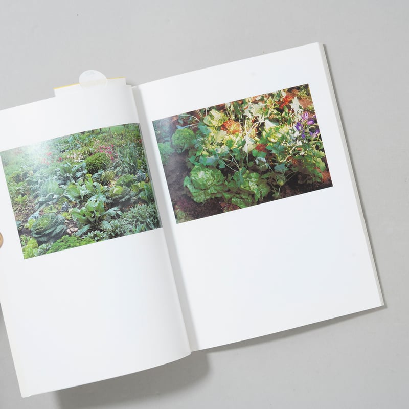 Garten / Peter Fischli(ペーター・フィッシュリ),David Weiss