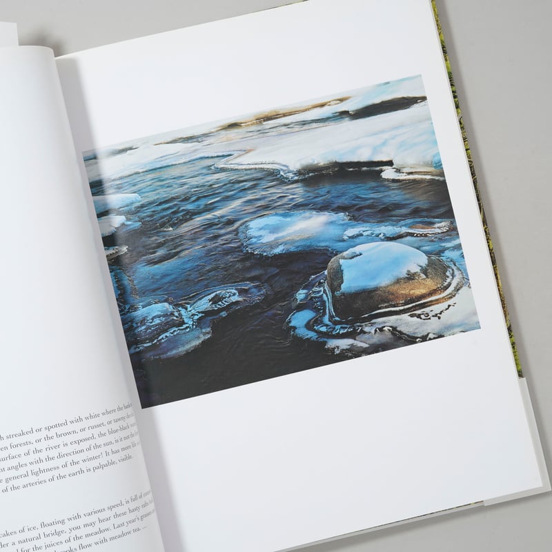 In Wildness Is the Preservation / Eliot Porter(