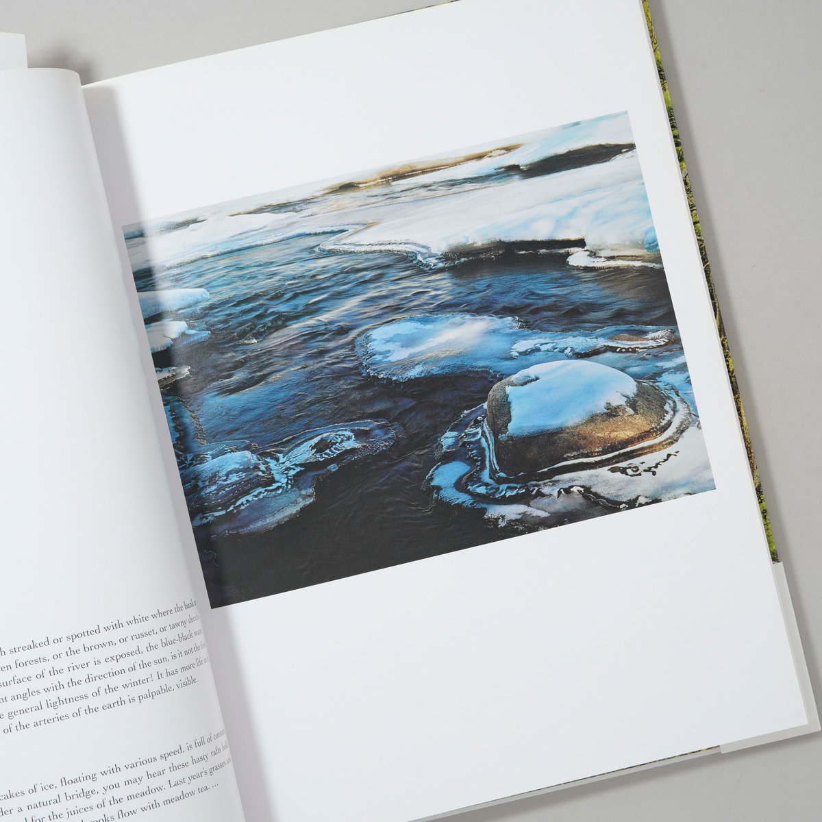In Wildness Is the Preservation / Eliot Porter(