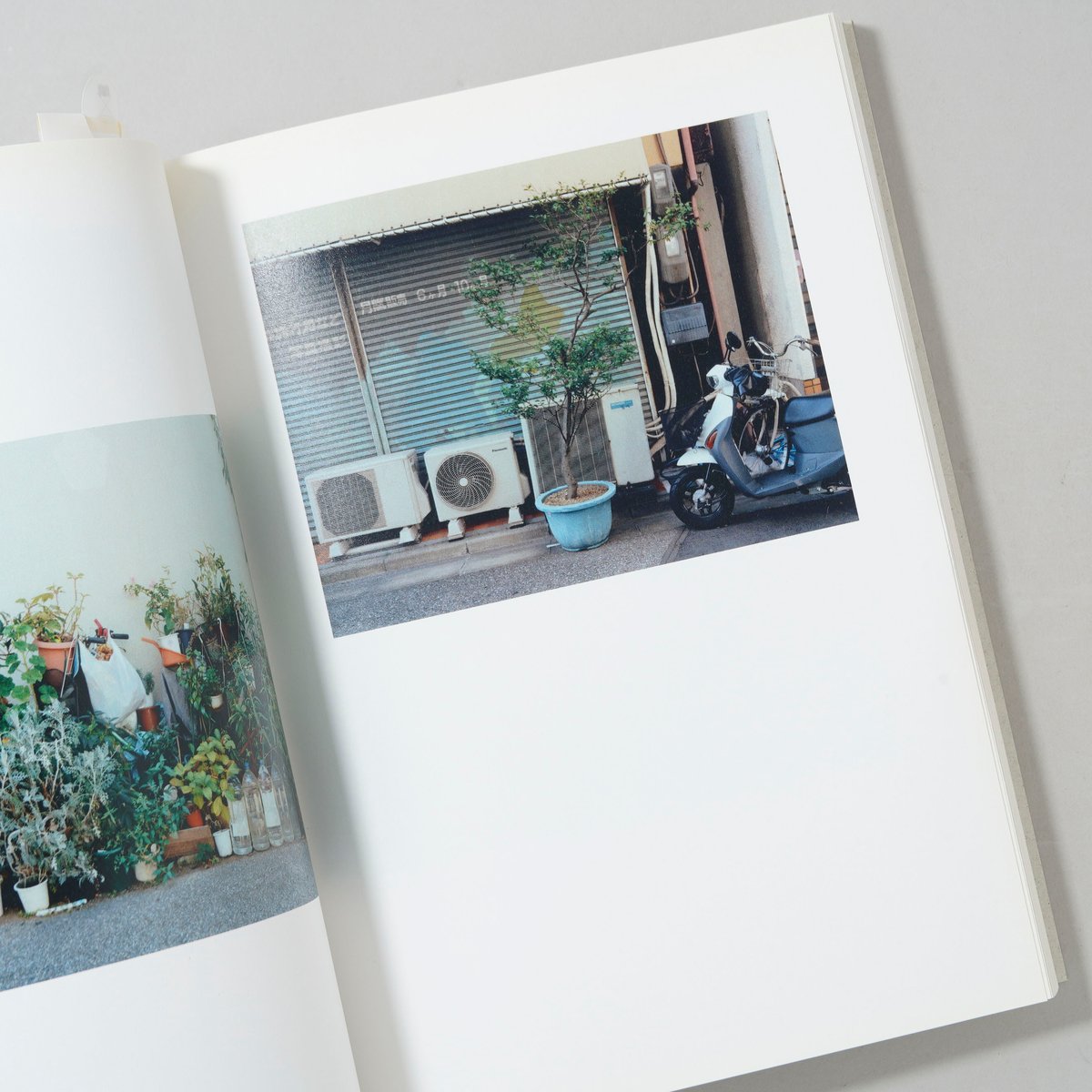 植木 / 高木康行(Yasuyuki Takagi) | bookobscura｜写真集専門書