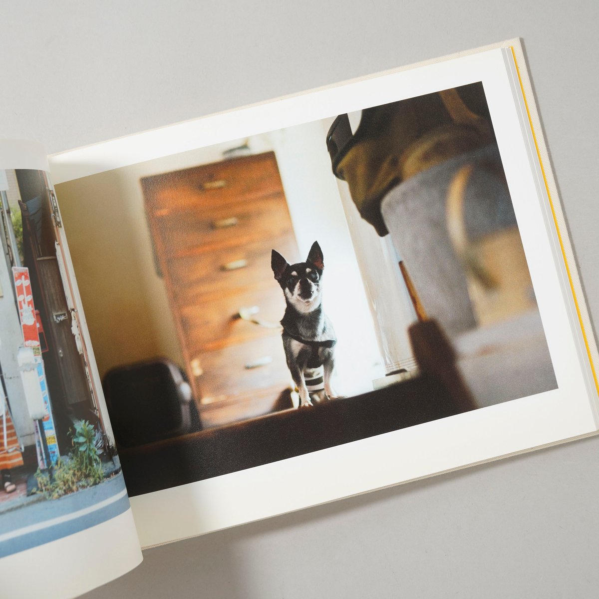 ONE DAY LIFE WITH A DOG / 濱田英明(Hideaki Hamada)