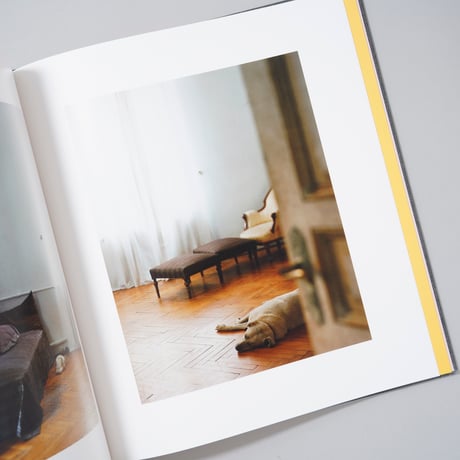 [新刊/New] I KNOW HOW FURIOUSLY YOUR HEART IS BEATING / Alec Soth(アレック・ソス)