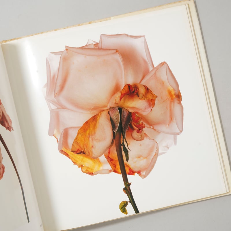 Irving Penn FLOWERS アーヴィング•ペン　写真集　洋書　初版 Irving Penn FLOWERS アーヴィング•ペン 写真集 洋書 初版 【公式通販】