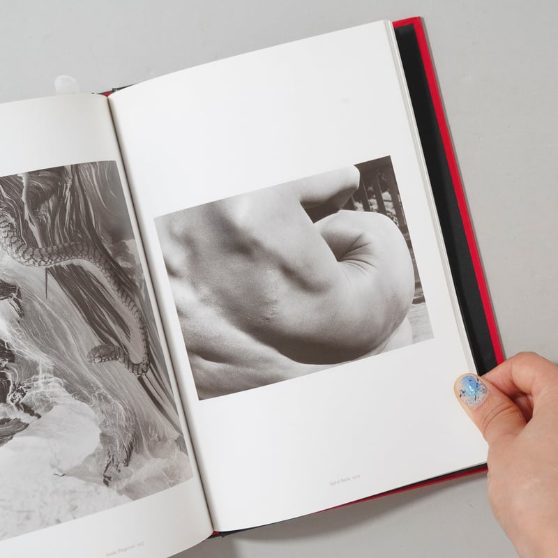 イモジン・カニンハム写真集 : モダニストの時代 IMOGEN CUNNINGHAM THE MODERNIST YEARS イモジン・カニンハ