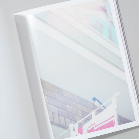 [新刊/New]Des oiseaux (On birds) / 川内倫子(Rinko Kawauchi)