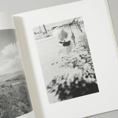 notes for friends / Robert Adams(ロバート・アダムス)