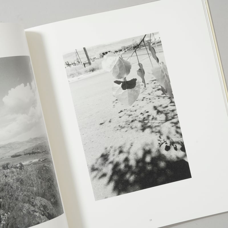 notes for friends / Robert Adams(ロバート・アダムス) | b