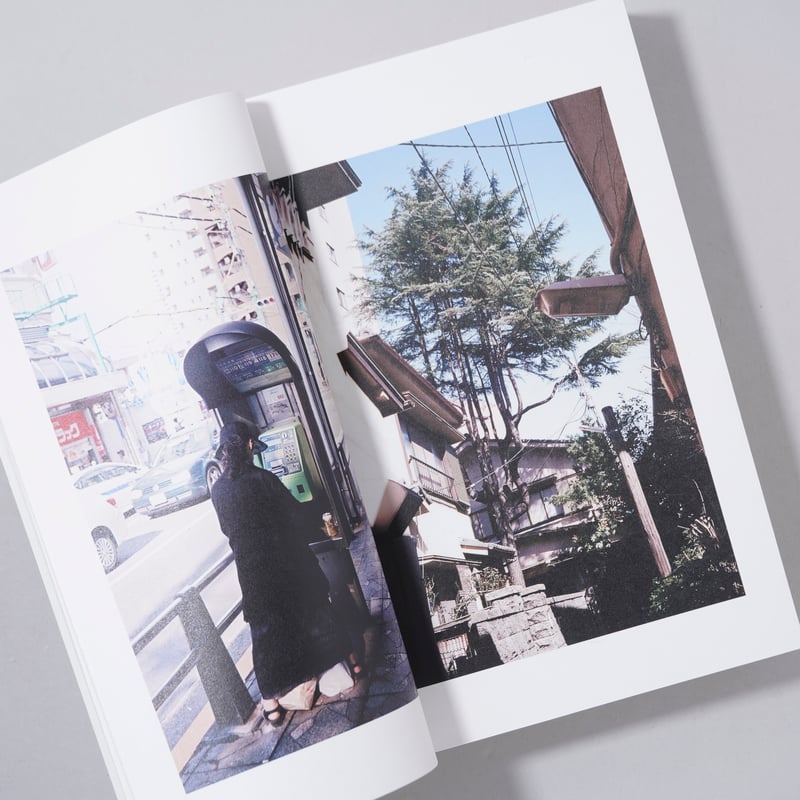 新刊サイン入/New,Signed]花と散る ドリームナビゲーター / 富澤