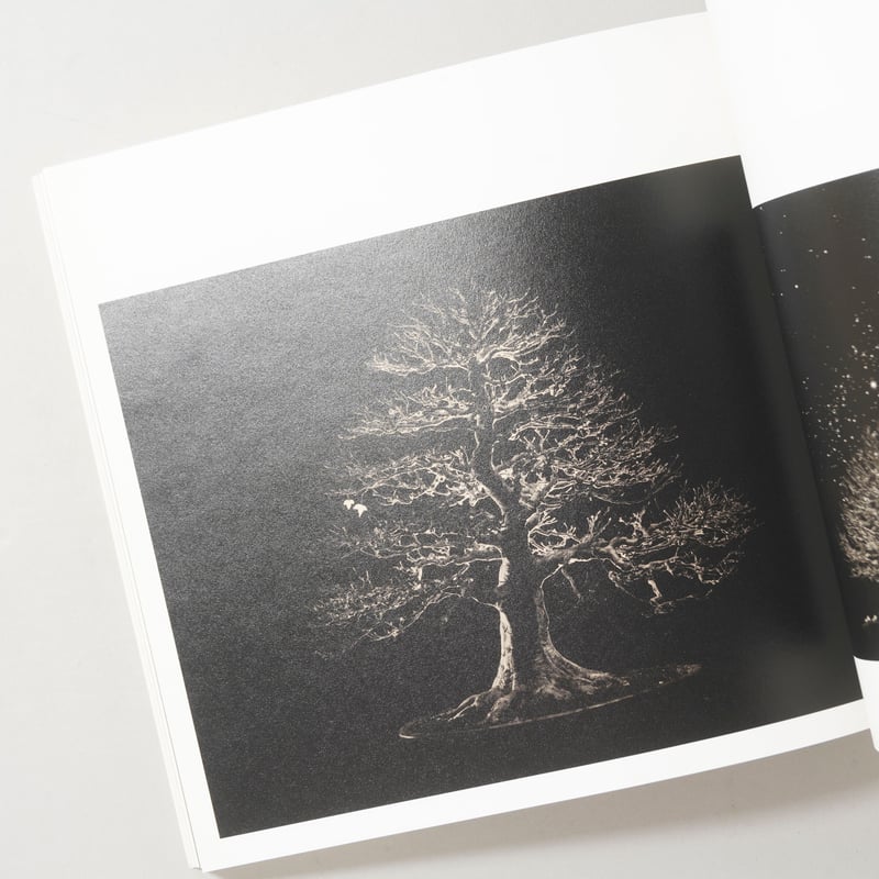 サイン入/Signed] 手中一滴 Bonsai Microcosmos Macrocosm