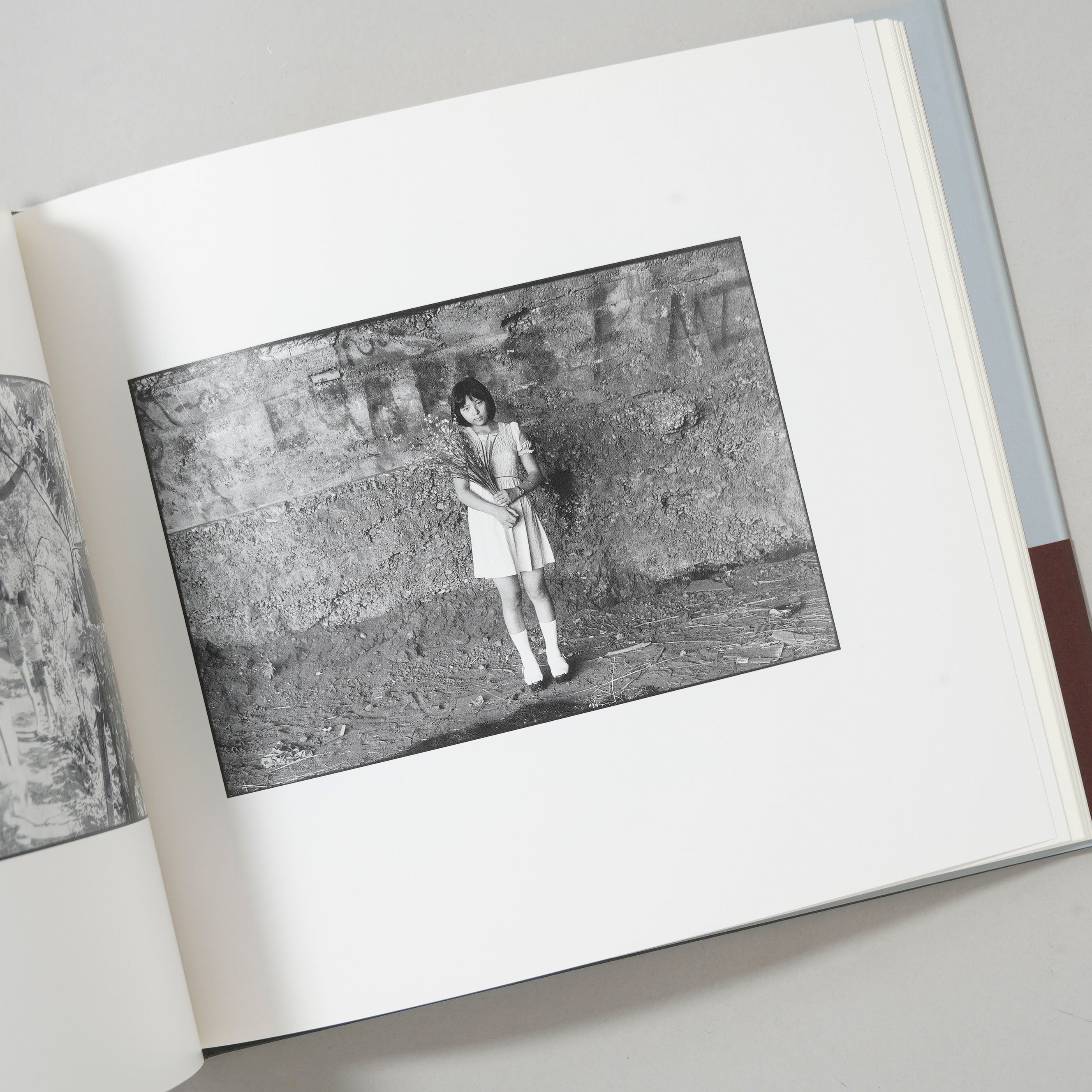 SELF AND OTHERS / 牛腸茂雄(Shigeo Gocho) | bookobsc