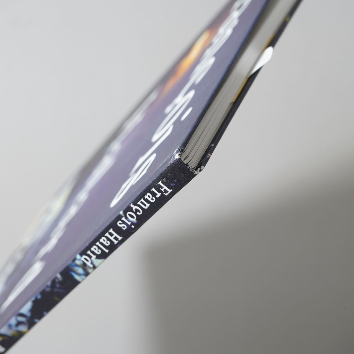 Francois Halard Polaroid / Francois Halard(フランソ