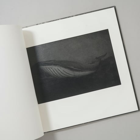[サイン入/Signed] 島影 / 白石ちえこ(Chieko Shiraishi)